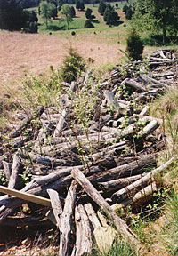 Wooden beams and poles in trench