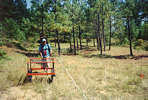 Western Burning Ground surveying