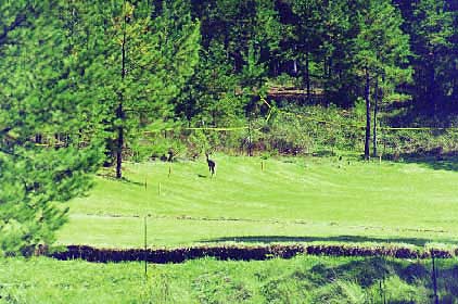 Western Burning Ground after sampling activities